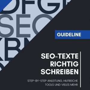 Guideline Seo-Texte richtig schreiben Cover