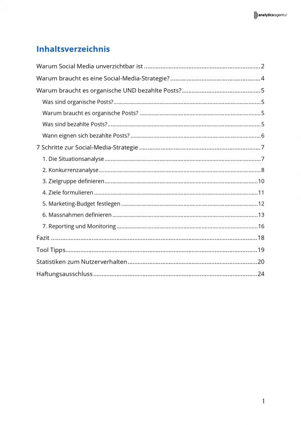 Guideline Social Media Strategie 2021 - Analytics Agentur